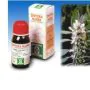 Sp.leonorus cardiaca tm 50ml thumbnail