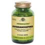 Solgar fitobiancospino integratore alimentare 60 capsule thumbnail