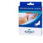 Epitact cusc.plant.duroni l thumbnail