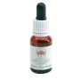 Alpine mint 15ml australian thumbnail