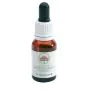 Angelsword australian 15ml thumbnail