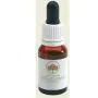 Grey Spider Flower Gocce 15ml thumbnail