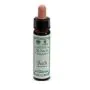 Ainsworths beech 10ml thumbnail