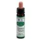 Ainsworths recov remedy 10ml thumbnail