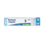 Berberis vulgaris 9ch 80gr 4g thumbnail