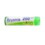 Bryonia 200ch gl 1g thumbnail