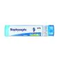 Staphysagria 9ch 80gr 4g thumbnail