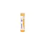 Pulsatilla 15ch 80gr 4g thumbnail