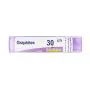 Graphites 30ch 80gr 4g thumbnail