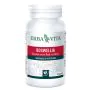 Boswellia Serrata 60 Capsule thumbnail