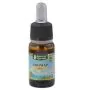 Aromap (ma 634) olio 10ml thumbnail