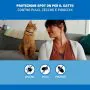 Frontline Spot-On Gatti Cf. (3 Pipette) thumbnail