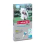 Advantix Spot-On Cani Da 4 A 10 Kg 4 Pipette Monodose 1 Ml thumbnail