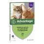 Advantage Antiparassitario Spot-On Gatti E Conigli Grandi Peso Oltre 4 Kg 4 Pipette 0,8 Ml thumbnail