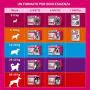 Frontline Tri-Act x1 Pipetta, Antiparassitario Per Cani e Cuccioli (Taglia S 5-10Kg) Contro Pulci, Zecche, Zanzare, Pappataci e Leishmaniosi thumbnail