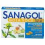 Sanagol Gola Voce Erisimo Caramelle Balsamiche Miele e Limone 24 Pezzi thumbnail