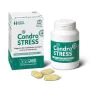 Condrostress+ 90Compresse Mastic thumbnail