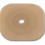 Holli conf.2 pl.pia cerapl.70 thumbnail