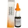 Guna-Heel Euphorbium Compositum Spray Nasale S 20 ml thumbnail