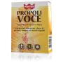 Winter propoli voce 30 compresse masticabili thumbnail