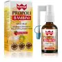 Winter propoli spray bambini 20 ml thumbnail