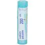 Boiron Ledum Palustre 200CH Granuli Tubo thumbnail