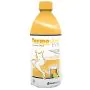 Termodren evo te'limone 500ml thumbnail