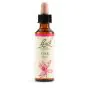 Oak bach orig 20 ml thumbnail