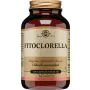 Fitoclorella 100 capsule thumbnail