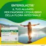 Enterolactis Duo Polvere 20 Bustine thumbnail