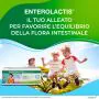 Enterolactis Fibra Liquida 12 Flaconcini Da 10 ml thumbnail