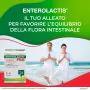 Enterolactis Plus Integratore con Fermenti Lattici 14 Bustine thumbnail