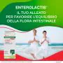 Enterolactis Plus 30 Capsule thumbnail