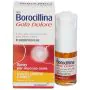Neoborocillina Gola Dolore Flurbiprofene Spray Limone E Miele 15 ml  thumbnail