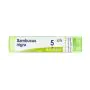 Boiron Sambucus Nigra 80 Granuli 5 Ch Granuli Contenitore Multidose thumbnail