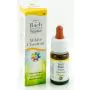Guna Fiori Di Bach White Chestnut 35 Concentrazione E Pace Gocce 10 ml thumbnail