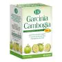 ESI Garcinia Cambogia Integratore Metabolismo Lipidi 60 Compresse 1000 mg thumbnail