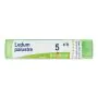 Boiron Ledum Palustre Medicinale Omeopatico 5CH 80 Granuli thumbnail