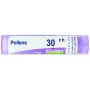 Boiron Pollens Granuli 30Ch Tubo 4g thumbnail