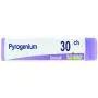 Boiron Pyrogenium Globuli 30Ch Dose 1g thumbnail