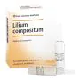 Lilium comp 10f 2,2ml heel thumbnail