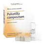 Guna Pulsatilla Compositum Medicinale Omeopatico Soluzione Iniettabile 10 Fiale thumbnail