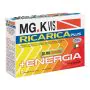 Mg.K Vis Ricarica Plus Integratore Sali Minerali E Vitamine 14 Bustine thumbnail