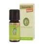 Rosmarino olio essenziale 5 ml thumbnail