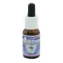 Ecstasy essenza 15 ml 1 pezzo thumbnail