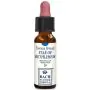 Star of bethlehem 10 ml gocce thumbnail