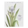 Iris sacchetto profumato cassetti thumbnail