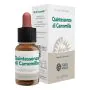 Quintessenza camomilla 10ml thumbnail
