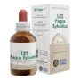 Les fagus silvatica gocce 50 ml thumbnail