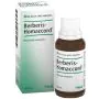 Guna Heel Berberis Homaccord Gocce 30 ml thumbnail